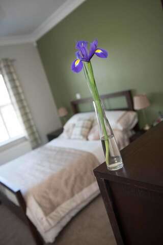 Отели типа «постель и завтрак» Dunagree Bed & Breakfast Гринкасл Двухместный номер Делюкс с 1 кроватью и душем-4