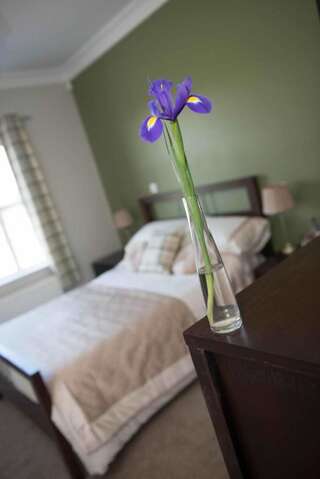 Отели типа «постель и завтрак» Dunagree Bed & Breakfast Гринкасл Двухместный номер Делюкс с 1 кроватью и душем-7